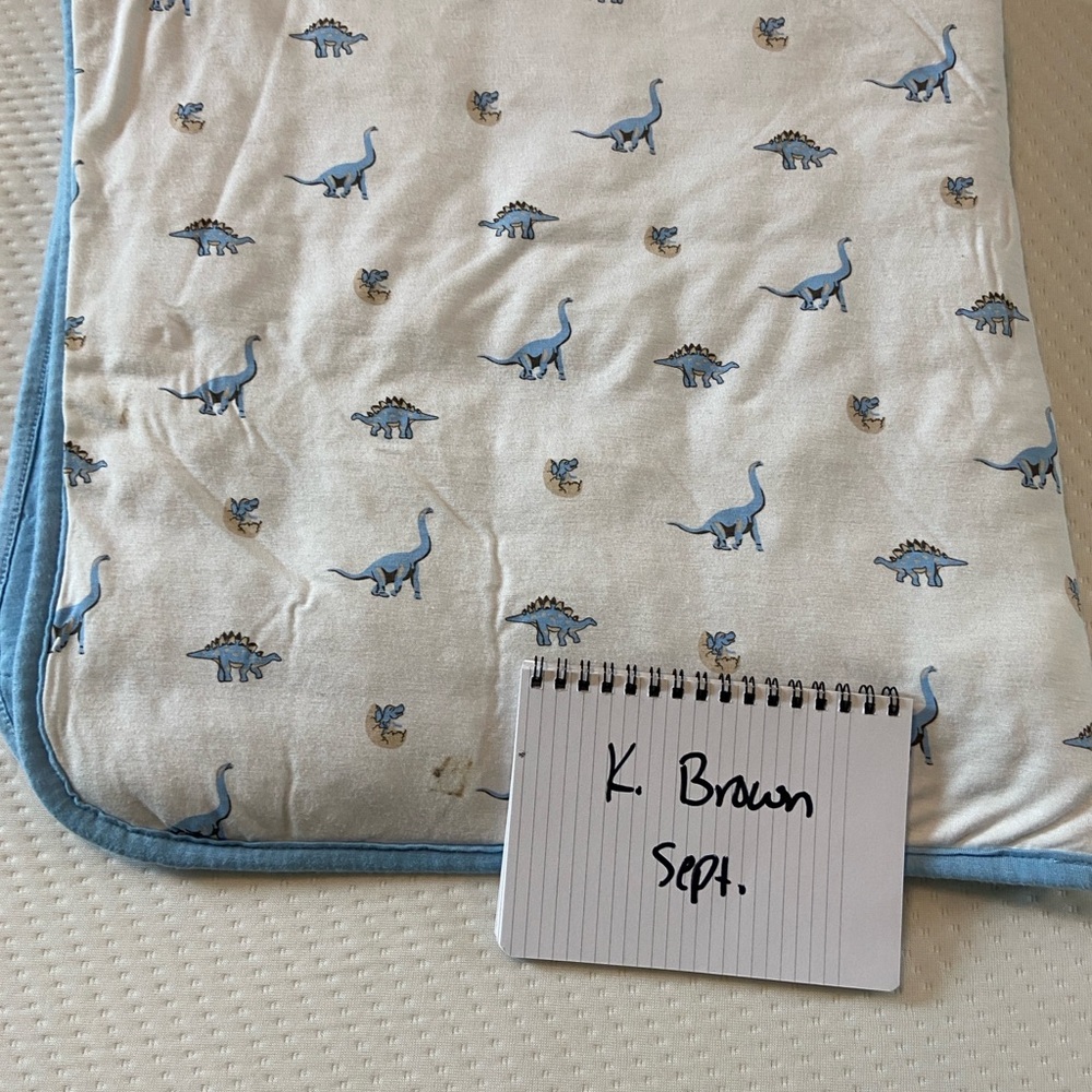 Kyte BABY Jurassic Baby Blanket